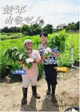 僵尸漫画素材包 C 的摊布纹理与网点预览